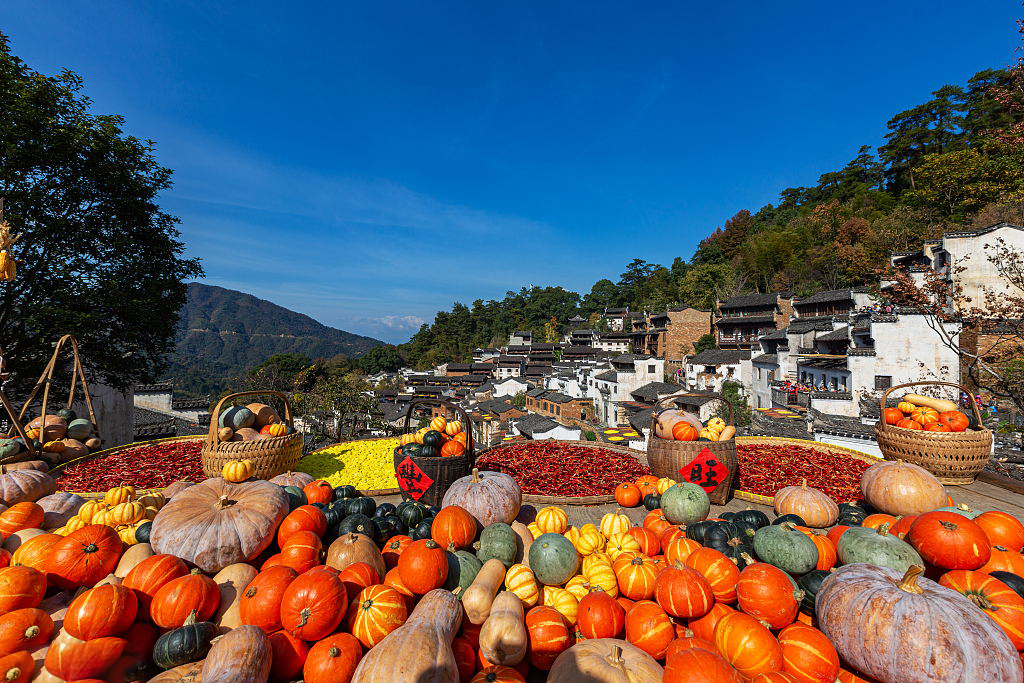 婺源秋季图片(2)