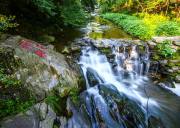 井冈山三清山庐山婺源景德镇纯玩7日游【走遍江西】