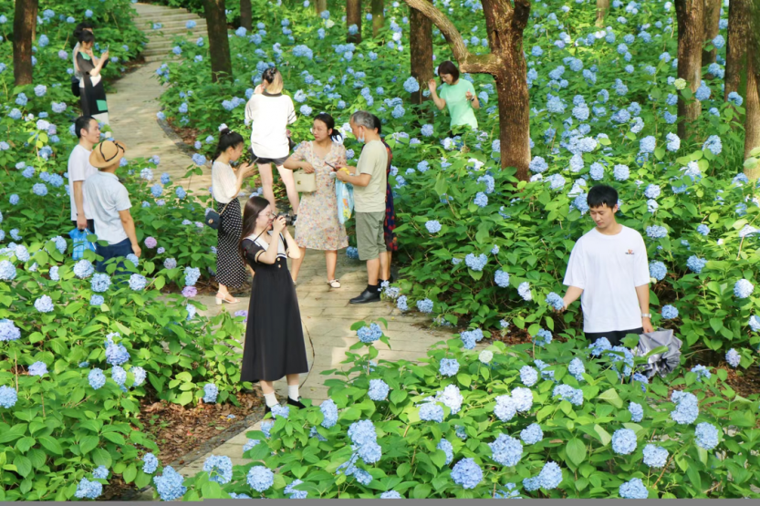 微信图片_20220707151827