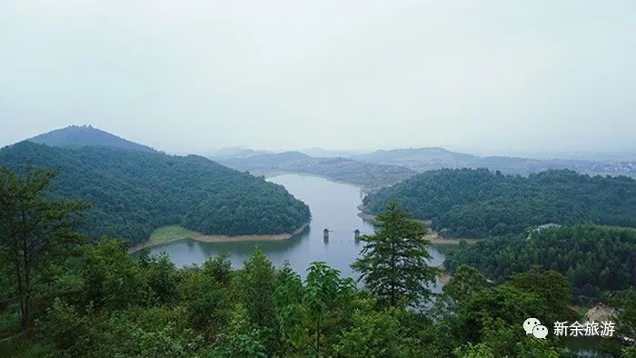 微信图片_20220707152443