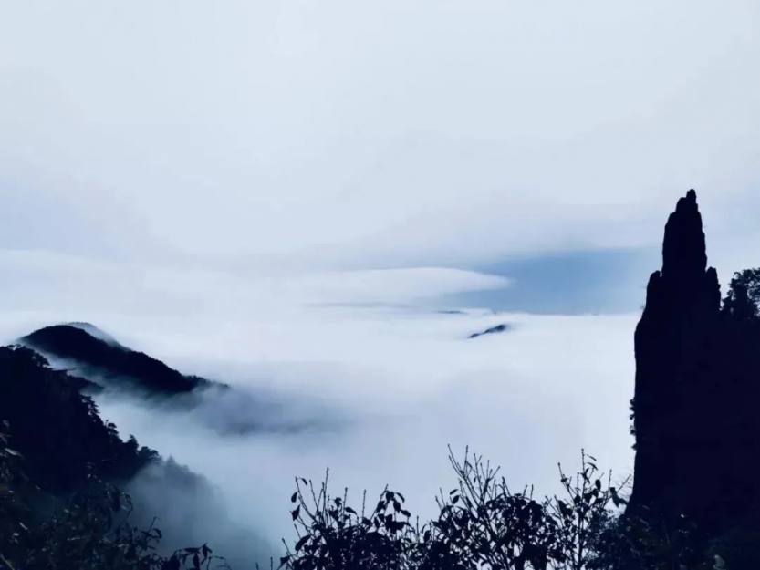 微信图片_20220707111527