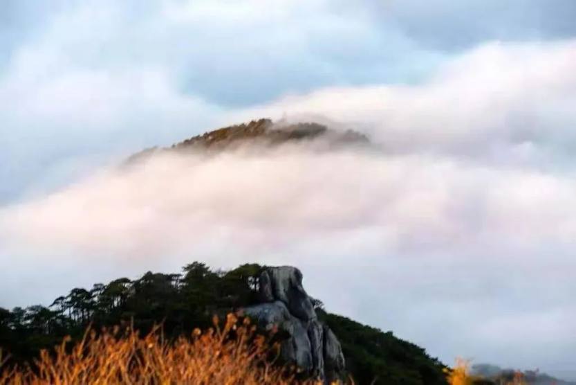 微信图片_20220707110608