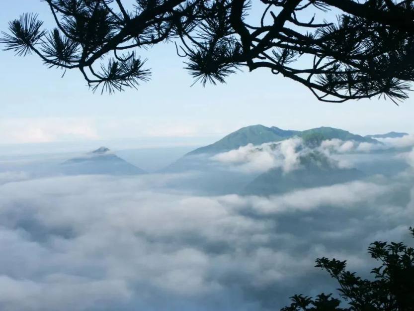 微信图片_20220707111409