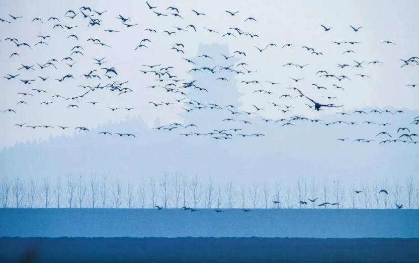 微信图片_20220707153213