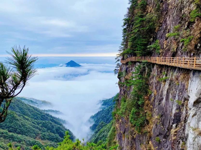 微信图片_20220707111314