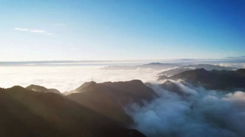 微信图片_20220707111630