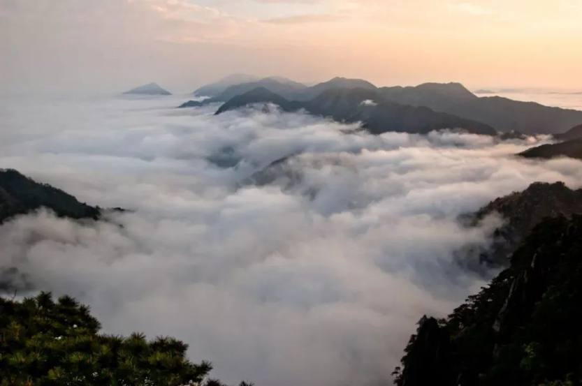 微信图片_20220707111525