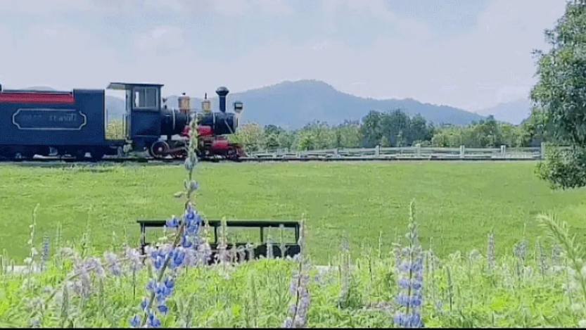 微信图片_20220707152303