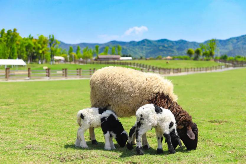 微信图片_20220707171725