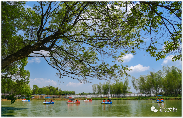 微信图片_20220707152537