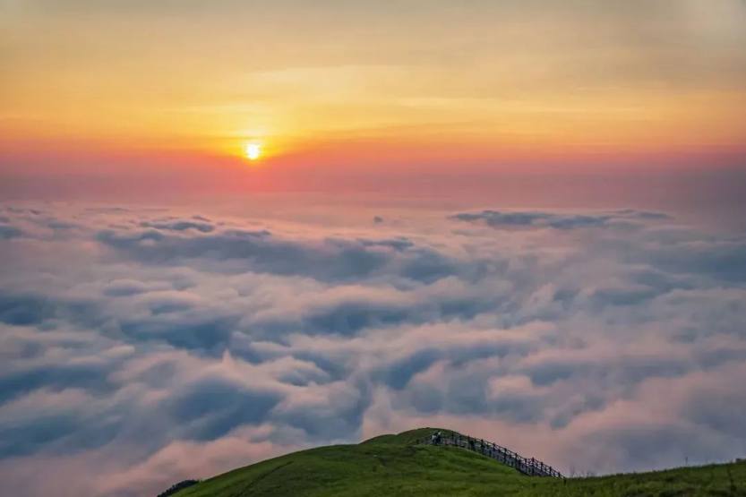 微信图片_20220707111101