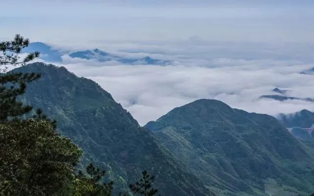 微信图片_20220707111316