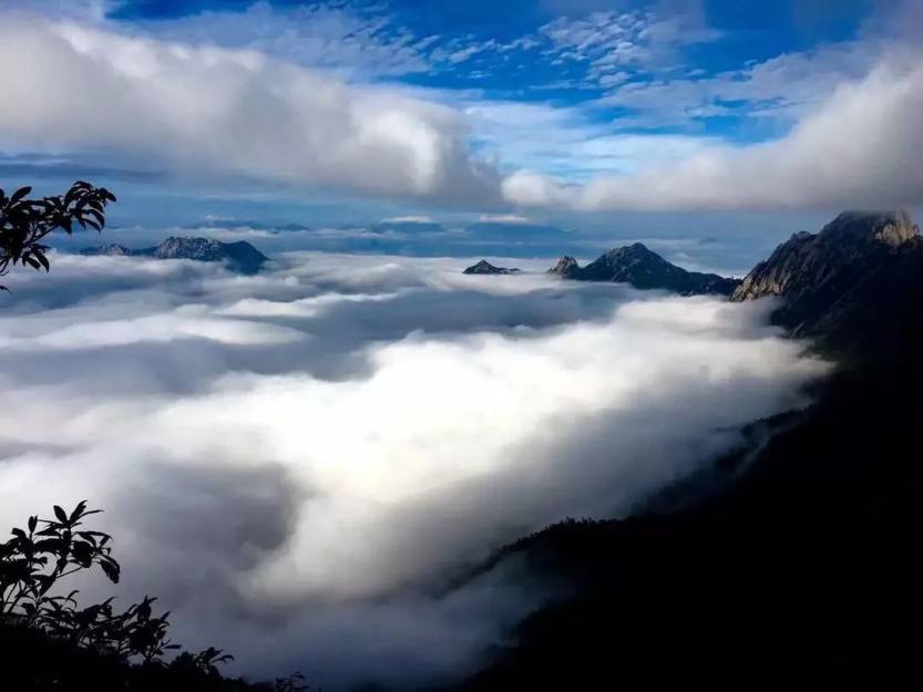 微信图片_20220707110912