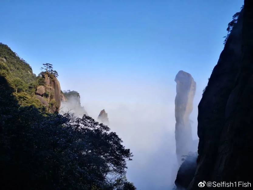 微信图片_20220707110801