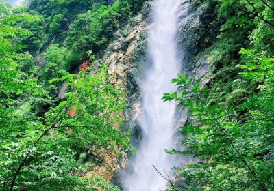 要火！江西这些景区居然全都免票，朋友圈都刷爆啦！