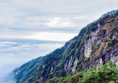 福利来袭！中国旅游日江西免票景区合集奉上 