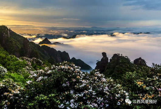 婺源三清山两日游