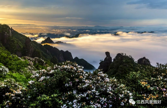 婺源三清山两日游