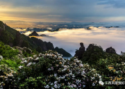 婺源三清山两日游