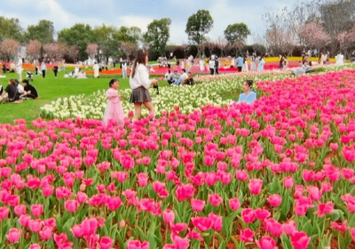 出行，不负二月美景与梦想 ！