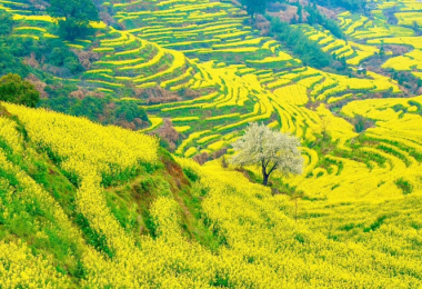 婺源篁岭三清山三日游【享玩婺源】