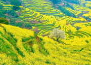 婺源篁岭三清山三日游【享玩婺源】