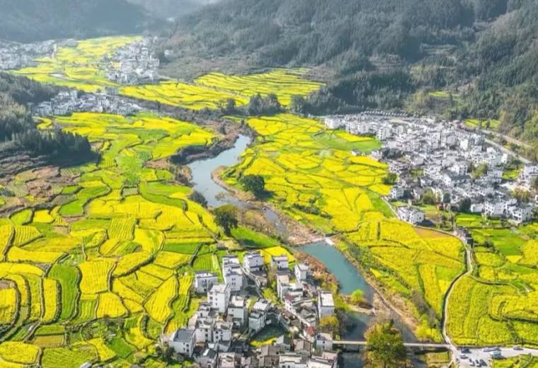 婺源，3-4 月来真香，花海与古村的浪漫！